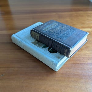 Puede incluir: Dos libros antiguos apilados sobre una superficie de madera. El libro superior tiene una cubierta marr&oacute;n oscuro con dise&ntilde;os florales en relieve y letras doradas. El libro inferior tiene una cubierta azul claro con una ilustraci&oacute;n floral.