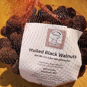 May include: A mesh bag filled with hulled black walnuts. The bag has a label that reads "Hulled Black Walnuts" and lists the net weight as 2.5-3 lbs (90-100 nuts). The label also includes the GFY Farms logo and address.