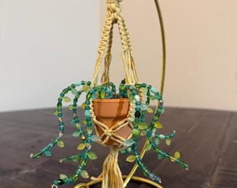 Planta con cuentas eternas y colgador de macramé hecho a mano