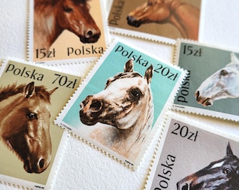 Vintage Horses Stamps - Poland 1989 - Instant Collection