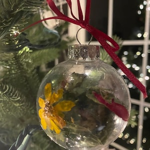 May include: Clear glass Christmas ornament with a yellow flower and red petals inside, hanging from a red ribbon. The ornament is suspended from a green Christmas tree branch, with a string of lights visible.