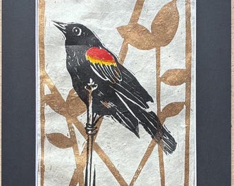 Linosnede Red-winged merel