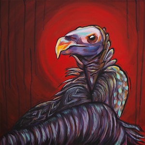 Vulture in Red - Signed Print 8" x 8"