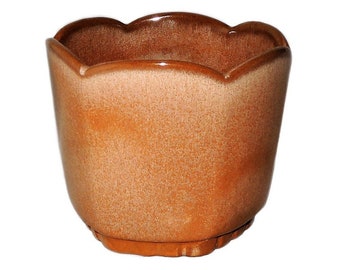 May include: A brown ceramic planter with a scalloped rim. The planter has a speckled glaze and a slightly textured surface.