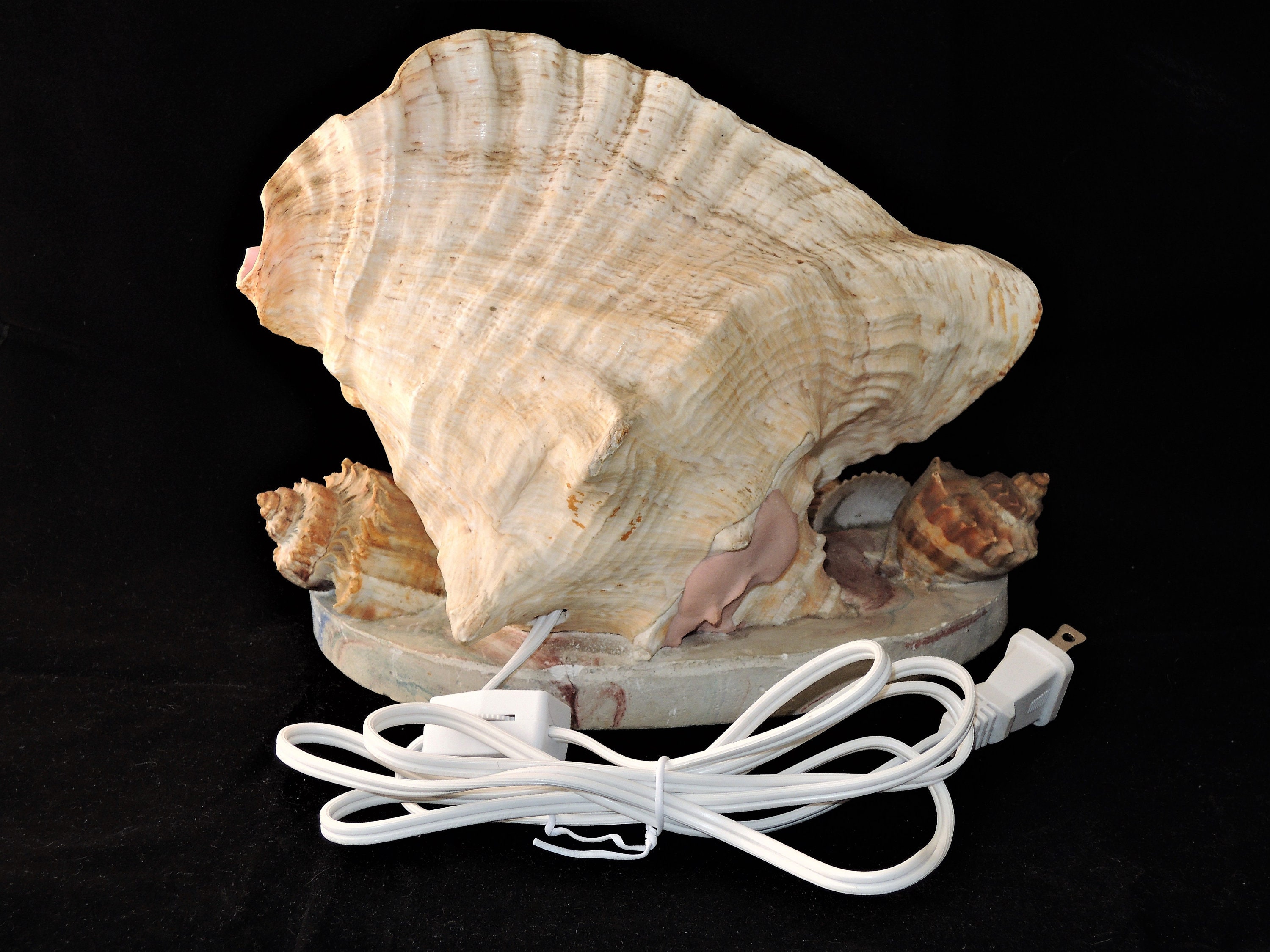 Working TV Lamp Vintage Mid Century Souvenir Conch Shell Lighting Night ...