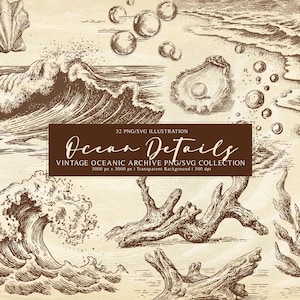 Puede incluir: Ilustración vintage en tonos sepia con elementos oceánicos. La imagen incluye conchas marinas, estrellas de mar, olas, burbujas y madera flotante. El texto dice "Ocean Details" y "Vintage Oceanic Archive PNG/SVG Collection."
