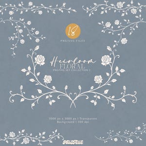 Può includere: Una collezione digitale di 18 grafiche di tralci di rose bianche in formato PNG e SVG. Il set include vari rami curvi, accenti angolari e composizioni simmetriche con fiori di rosa e foglie dettagliate su uno sfondo blu.