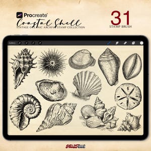 May include: A digital illustration of various seashells and marine life on a tablet screen. The tablet displays the text "Coastal Shell" and "31 Stamp Brush" with the Procreate logo. The image has a vintage, archival aesthetic, reminiscent of old scientific illustrations.