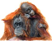 Mother Orangutan & Baby 11x8 Print of Original Watercolor