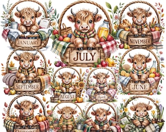 Baby Cow Basket Calendar 24 PNG | Farm Animal Illustration | 300 DPI