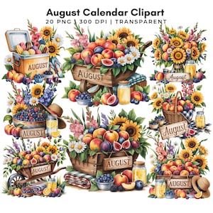 Op de afbeelding: Watercolor clipart met diverse illustraties met het thema augustus. Bevat zonnebloemen, perziken, vijgen, bosbessen en madeliefjes gerangschikt in een kruiwagen, mand en koeler. Het woord "August" wordt weergegeven op borden en containers. De afbeelding is gelabeld "August Calendar Clipart".