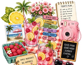 16 Raspberry Lemonade Clipart Bundle | Summer Watercolor PNG | Commercial Use