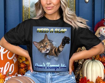 Comfort Colors 1717 Need a Slap Dont Tempt Me Cat Stretching Funny Vintage Tee