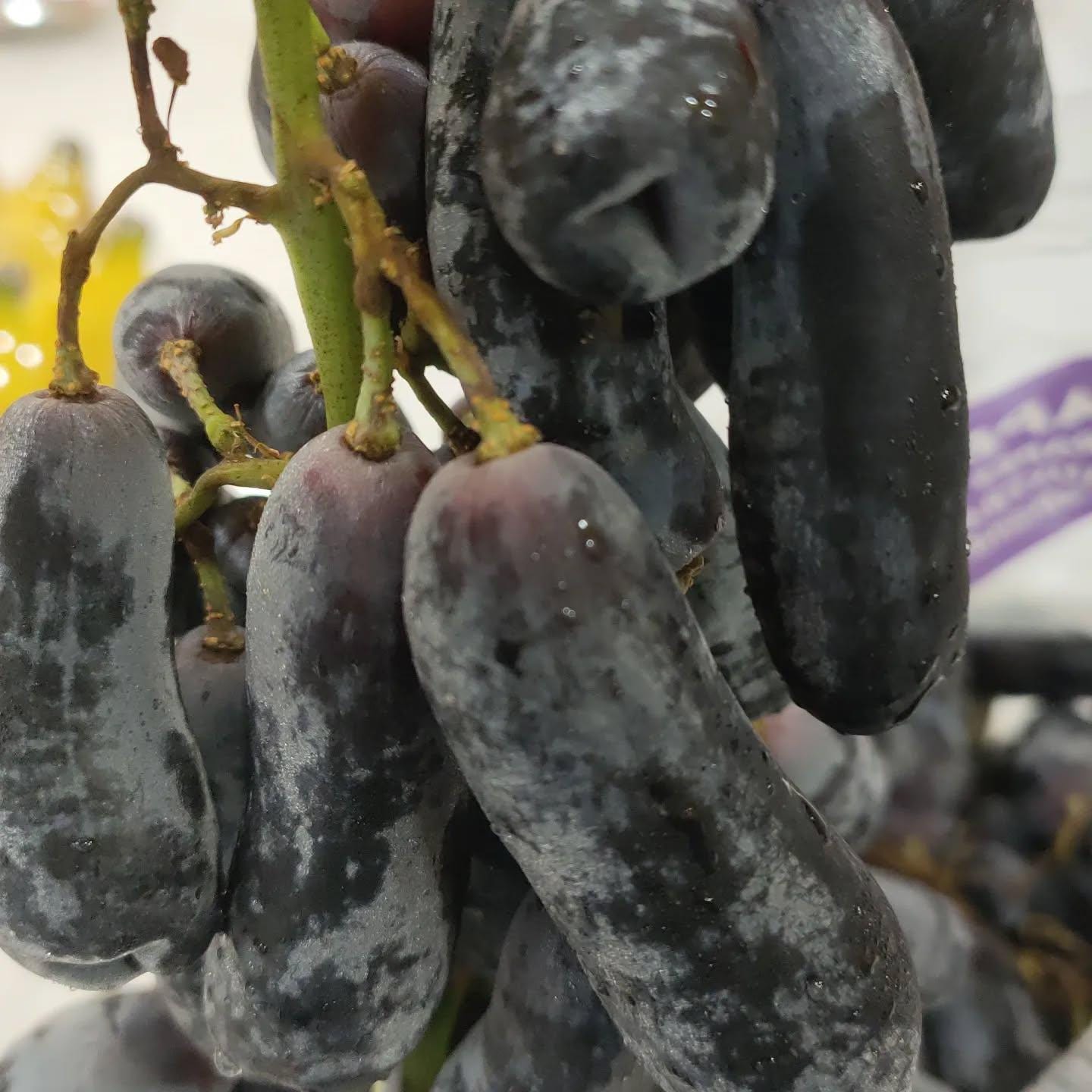 Sweet sapphire grapes - Etsy 日本