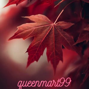 30 Red Maple Seeds | Acer rubrum | Northern Source | Fast Growing Tree | Brilliant Fall Color