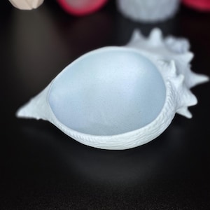 Conch shell Trinket Dish - Decorative Catch-All