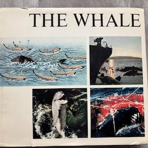 May include: A book cover titled "THE WHALE" with four images. The top left image shows boats on water with a whale. The top right image shows a ship and whales. The bottom left image shows a dolphin. The bottom right image shows a whale in the ocean.