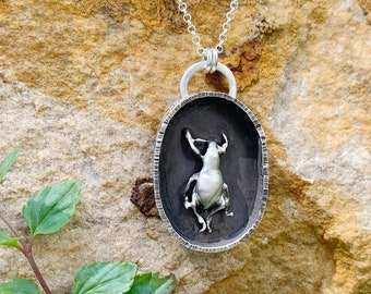 Solid Sterling Silver Beetle Shadow Box Necklace