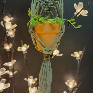Mini Macrame Plant Hangers