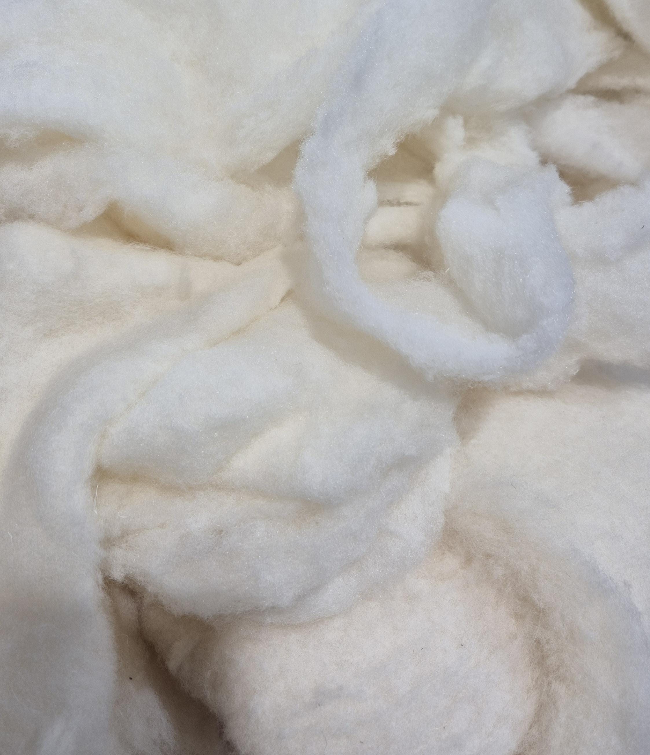 Ouate De Rembourrage Volumineuse 500g/m² - 1,60m X 2,50m, 50mm Épaisseur, 100% Polyester Lavable