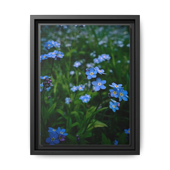 Blue Forget-Me-Not Floral Matte Canvas Framed Wall Art 9''x12'' vertical