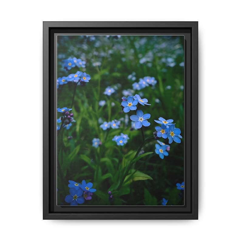 Cuadro decorativo de pared en lienzo mate con marco y estampado floral de nomeolvides azules, 23 x 30 cm (vertical) imagen 1