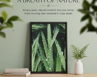 Puede incluir: Un lienzo botánico enmarcado titulado NATURE'S LENS A BREATH OF NATURE que muestra hojas de hierba verde cubiertas de gotas de agua. La obra está en un marco fino de madera de pino negro con acabado mate antirreflejos y cuenta con certificación Greenguard.
