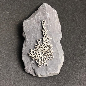 Peut inclure: Un pendentif en argent en forme de corail délicat et ramifié. Le pendentif est présenté sur un fond de schiste gris foncé.