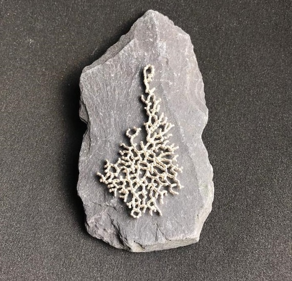 Farn Fossil Cast Sterling Silber - Etsy.de