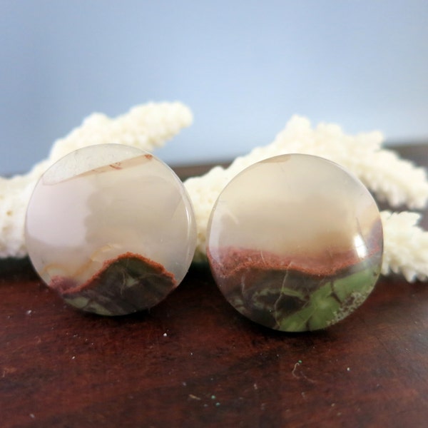 Mushroom Jasper Cabochons, 20x20x4mm, Polished Natural Stone, Ready To Ship