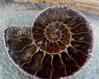 Ammonite Copper Button, 28x35mm,  Real Fossil Handmade Closure with Shank, Optional Leather Clasp, One of a Kind