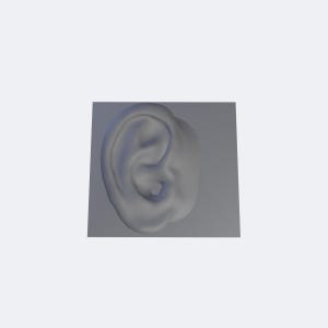 Human Ear STL, Realistic Anatomy Ear Model with Flat Backing Plate for SFX Prosthetic Maker, Mold Core 3D Print Digital Download