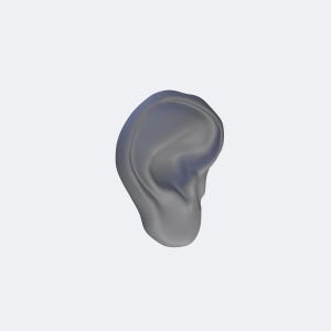 Human Ear STL, Realistic Anatomy Ear Prosthetic for Cosplay Maker, SFX Silicone Appliance Prop 3D Print Wearable Digital 3D