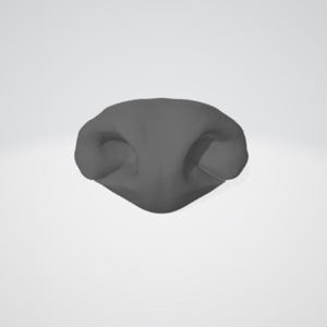 May include: A gray, 3D-rendered dog nose, featuring two nostril openings and a rounded shape. The nose is centered against a plain white background, showcasing its form and texture.