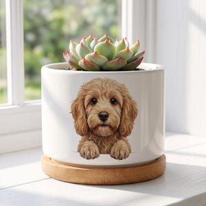 May include: A white ceramic cylindrical planter featuring a detailed illustration of a golden-brown curly-haired puppy on the front. A green succulent with reddish tips sits inside the pot, which rests on a circular light-colored wooden base.