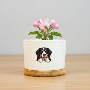 May include: A white ceramic planter with a bamboo base featuring a graphic of a Bernese Mountain Dog with its paws resting on the rim. A small plant with light pink blossoms and green leaves is growing out of the top of the cylindrical pot.