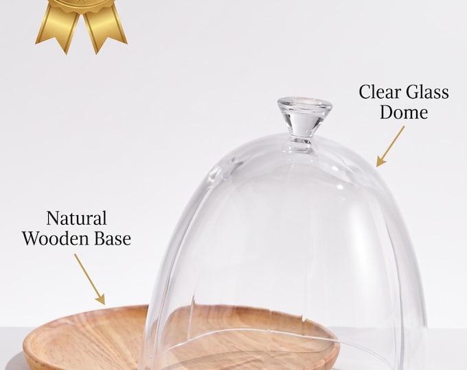 Glass cloche with wooden base | Clear cake stand, cheese dome, dessert display, rustic serving tray, round wood platter, covered wood board