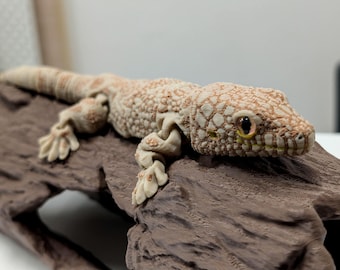 Articulated Wester Chameleon Gecko - 3D Printed Fidget Toy