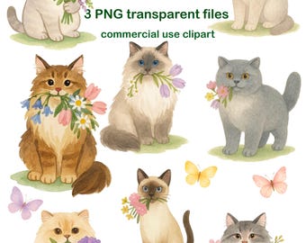 Watercolor Spring Cats Clipart Set | Floral Kitten PNG Files for Sublimation | Commercial