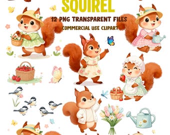 Spring Squirrel Clipart Set  12 PNG Transparent Files,Animal Illustration, Commercial Use
