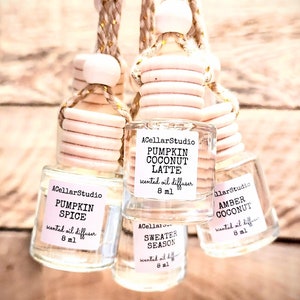 FALL Car Air Freshener, Car Oil Diffuser, Hanging Car Freshener, New Car Gift, Hanging Car Diffuser,Car Accessories,Car Freshies FALL SCENTS