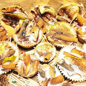 May include: A collection of small, white, round candles with a variety of dried fruit and cinnamon sticks on top. The candles are in white paper cups and are arranged on a wooden surface.