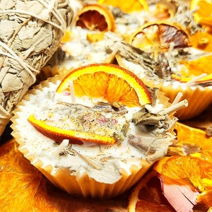 Natural Fire Starters/Citrus& Sage/Campfire Starters/Wood,Pinecones/Large and Small sizes available! You choose quanity 1-12