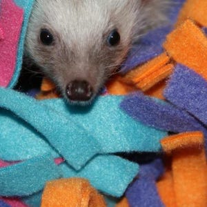 May include: A small hedgehog peeks out from a colourful fleece nest. The nest is made of strips of blue, orange, and purple fabric. The hedgehog has grey fur and a dark nose and eyes.