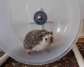 Rueda de pastel "Carrera en carretera" de Cape Cod