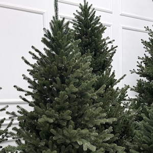 Può includere: Diversi alberi di Natale artificiali con aghi fitti e verde scuro riempiono l'inquadratura. Gli alberi hanno un aspetto pieno e realistico, con rami che si estendono verso l'esterno. Lo sfondo è un muro bianco con modanature decorative, che suggerisce un ambiente interno.
