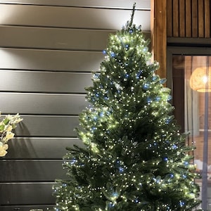 Puede incluir: Un gran árbol de Navidad verde decorado con luces blancas y azules. El árbol está al aire libre, con una manta a cuadros sobre una silla en primer plano. También se ve una mesa con una taza y una botella.