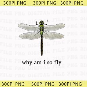 Why Am I So Fly Funny Dragonfly Pun Insect Lover Png, Cute Bug Lover Gift, Entomology Humor Graphic Png