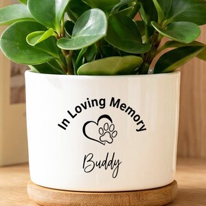 Custom Pet Memorial Planter, Dog Memorial Gift, Rainbow Bridge Remembrance Flower Pot, Pet Loss Sympathy Gift