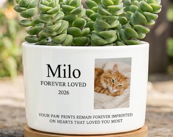 Personalized Cat Memorial Plant Pot, Custom Pet Portrait Plant Pot, Cat Loss Sympathy Gift for Cat Lover